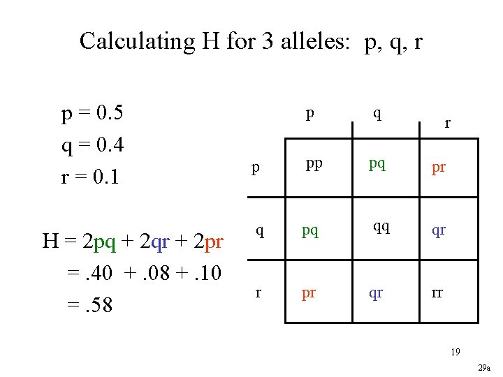 Calculating H for 3 alleles: p, q, r p = 0. 5 q =