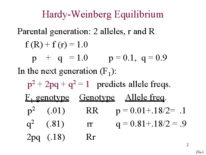 Hardy-Weinberg Equilibrium Parental generation: 2 alleles, r and R f (R) + f (r)