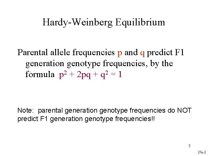 Hardy-Weinberg Equilibrium Parental allele frequencies p and q predict F 1 generation genotype frequencies,