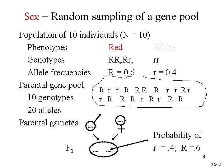 Sex = Random sampling of a gene pool Population of 10 individuals (N =