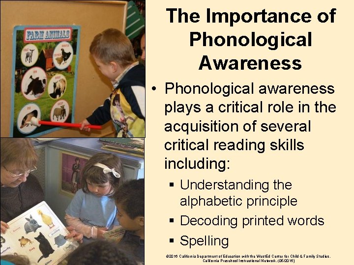 The Importance of Phonological Awareness • Phonological awareness plays a critical role in the