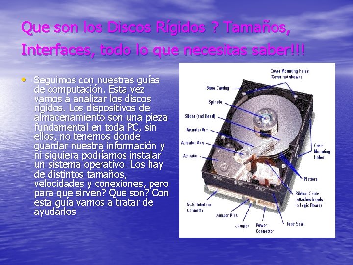 Que son los Discos Rígidos ? Tamaños, Interfaces, todo lo que necesitas saber!!! •