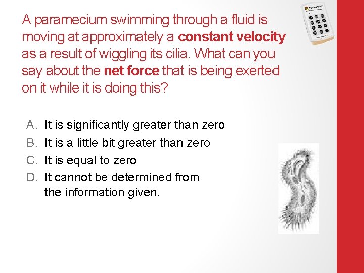 A paramecium swimming through a fluid is moving at approximately a constant velocity as