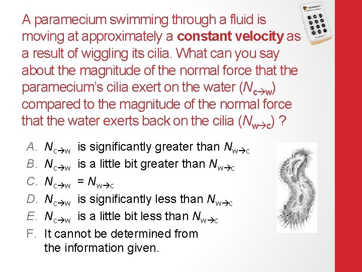 A paramecium swimming through a fluid is moving at approximately a constant velocity as