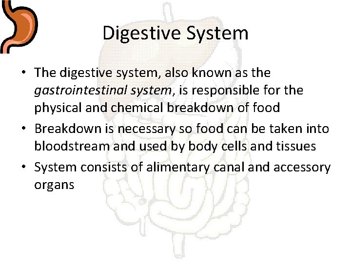 Digestive System • The digestive system, also known as the gastrointestinal system, is responsible