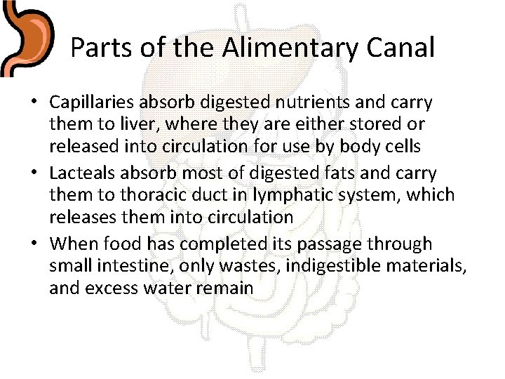 Parts of the Alimentary Canal • Capillaries absorb digested nutrients and carry them to