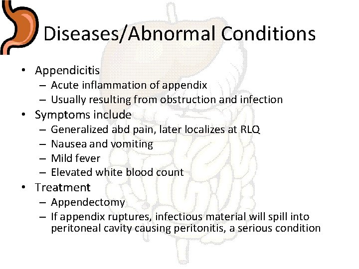 Diseases/Abnormal Conditions • Appendicitis – Acute inflammation of appendix – Usually resulting from obstruction