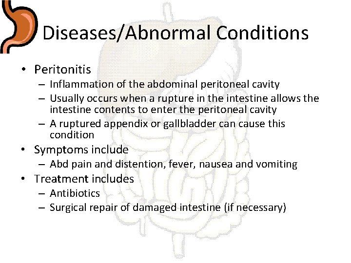 Diseases/Abnormal Conditions • Peritonitis – Inflammation of the abdominal peritoneal cavity – Usually occurs