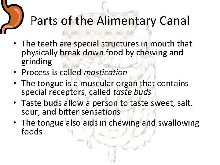 Parts of the Alimentary Canal • The teeth are special structures in mouth that