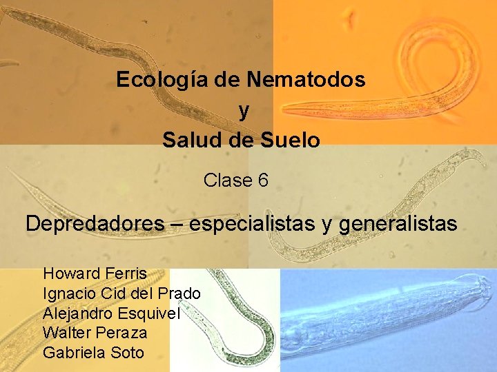 Ecología de Nematodos y Salud de Suelo Clase 6 Depredadores – especialistas y generalistas