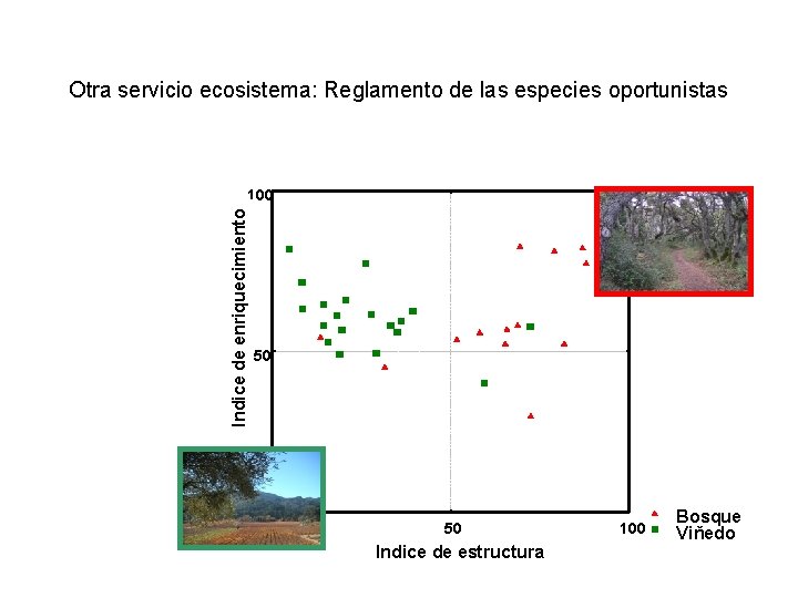 Otra servicio ecosistema: Reglamento de las especies oportunistas Indice de enriquecimiento Enrichment Index 100