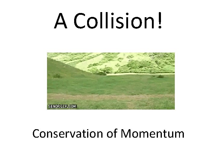 A Collision! Conservation of Momentum 