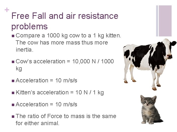 + Free Fall and air resistance problems n Compare a 1000 kg cow to