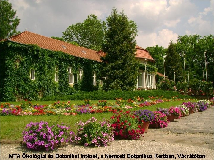 MTA Ökológiai és Botanikai Intézet, a Nemzeti Botanikus Kertben, Vácrátóton 