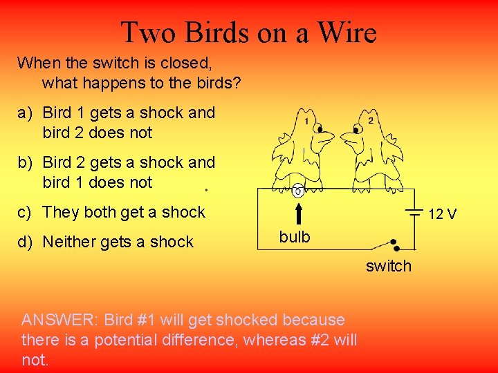 Two Birds on a Wire When the switch is closed, what happens to the