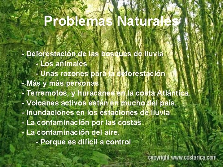 Problemas Naturales - Deforestación de las bosques de lluvia - Los animales - Unas