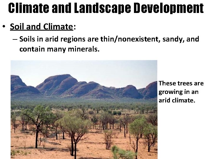 Climate and Landscape Development • Soil and Climate: – Soils in arid regions are