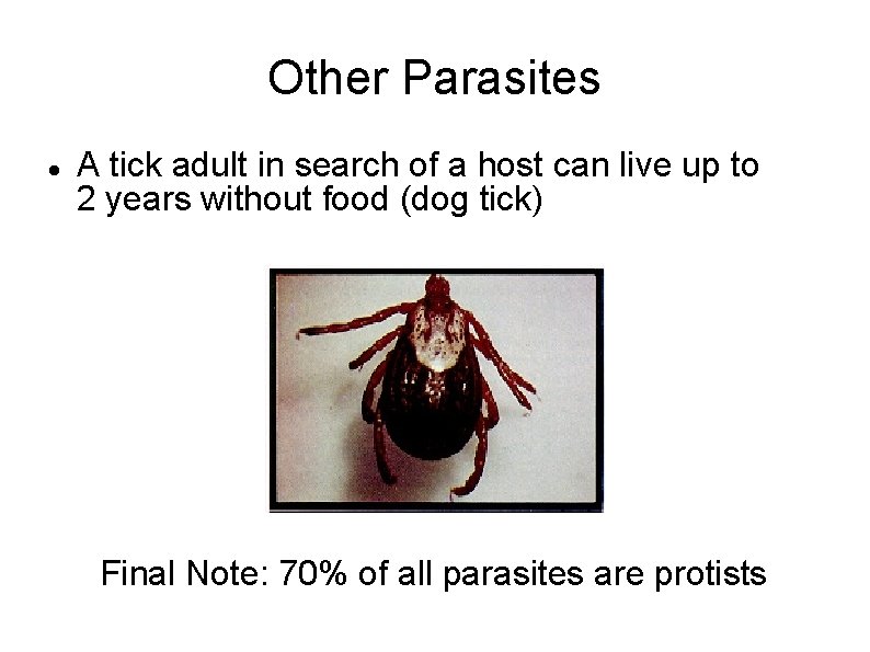 Other Parasites A tick adult in search of a host can live up to
