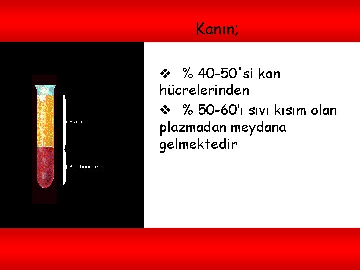 Kanın; Plazma Kan hücreleri v % 40 -50'si kan hücrelerinden v % 50 -60‘ı