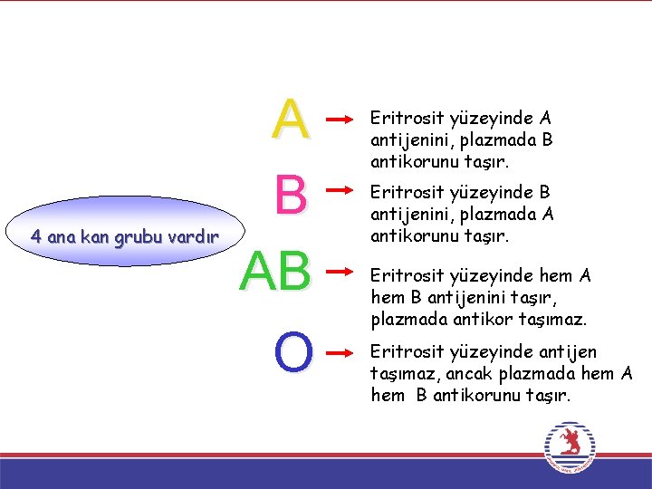 4 ana kan grubu vardır A B AB O Eritrosit yüzeyinde A antijenini, plazmada