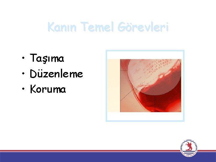 Kanın Temel Görevleri • Taşıma • Düzenleme • Koruma 