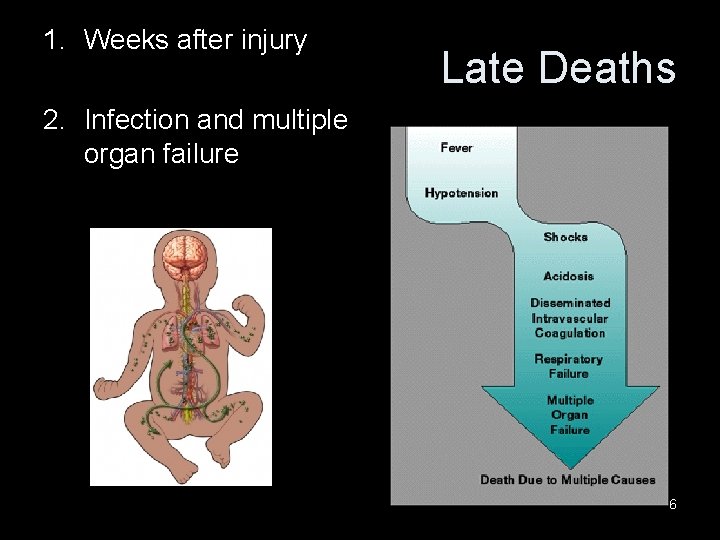 1. Weeks after injury Late Deaths 2. Infection and multiple organ failure 6 