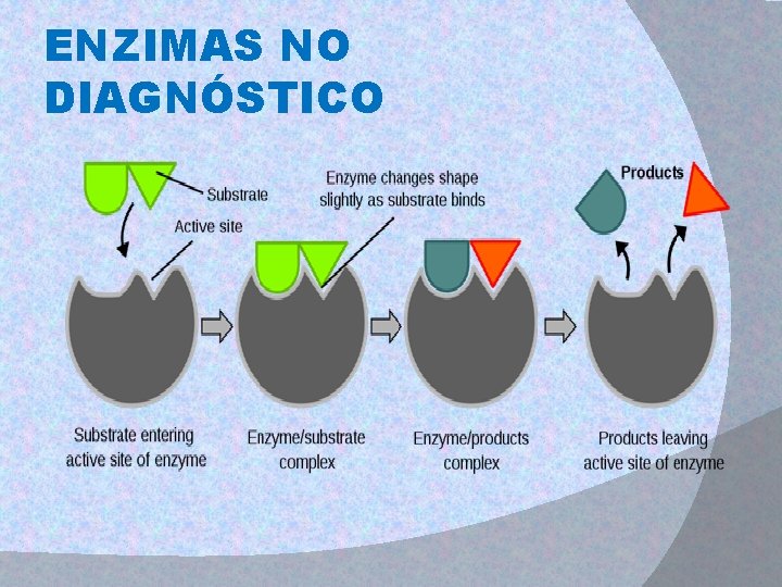 ENZIMAS NO DIAGNÓSTICO 