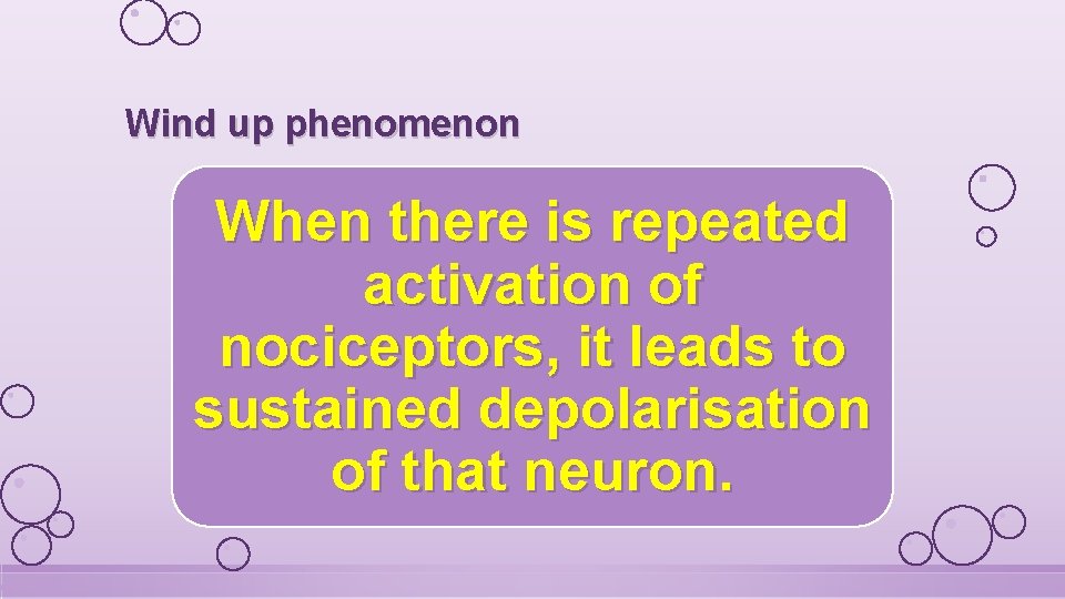 Wind up phenomenon When there is repeated activation of nociceptors, it leads to sustained