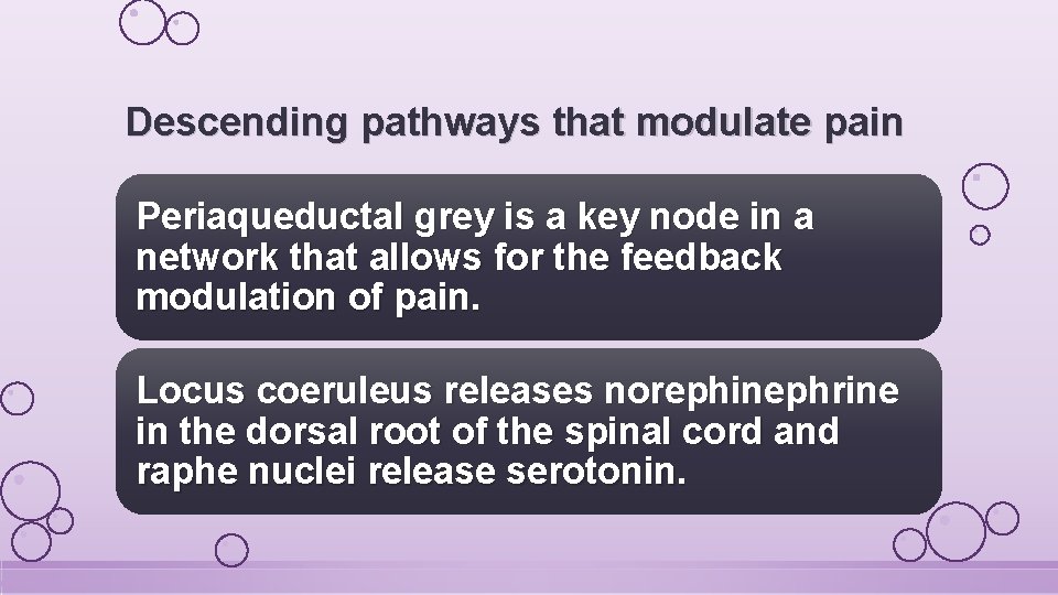 Descending pathways that modulate pain Periaqueductal grey is a key node in a network