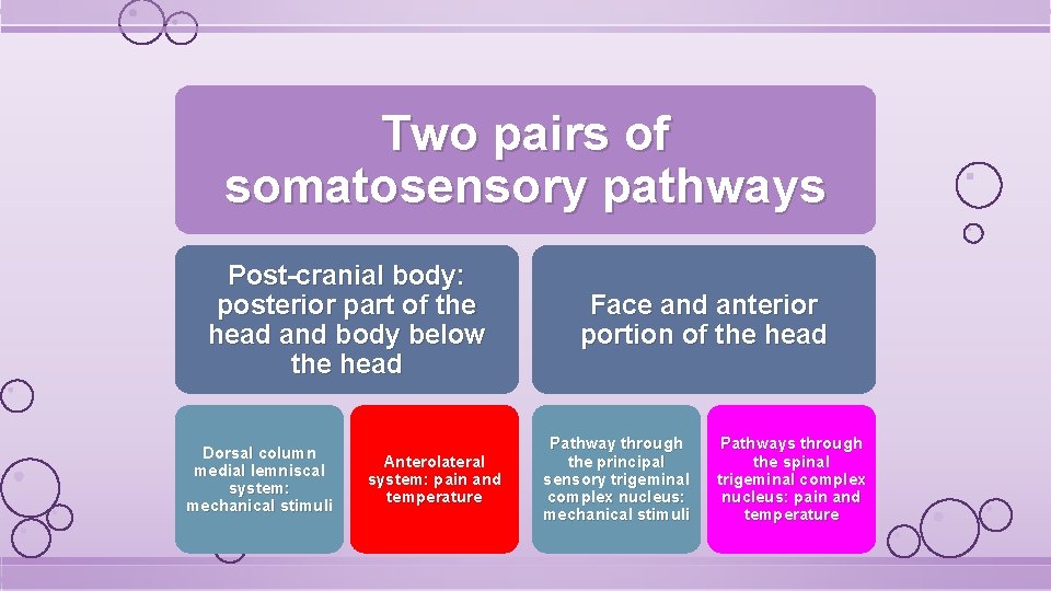 Two pairs of somatosensory pathways Post-cranial body: posterior part of the head and body