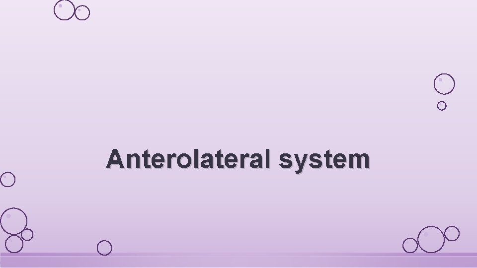Anterolateral system 