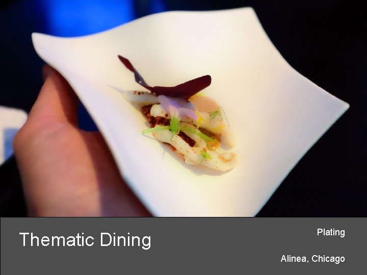 Thematic Dining Plating Alinea, Chicago 