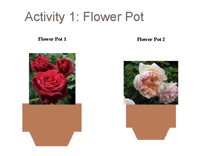 Activity 1: Flower Pot 1 Flower Pot 2 