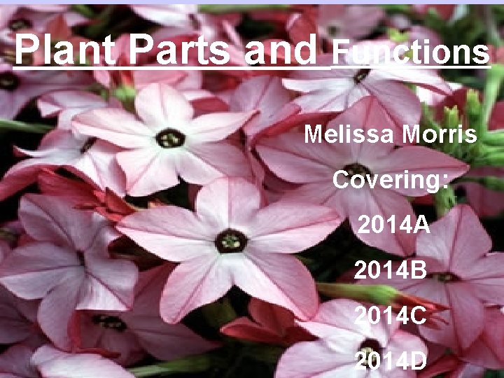 Plant Parts and Functions Melissa Morris Covering: 2014 A 2014 B 2014 C 2014