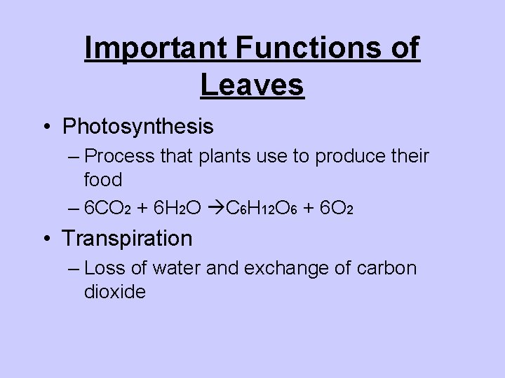 Important Functions of Leaves • Photosynthesis – Process that plants use to produce their