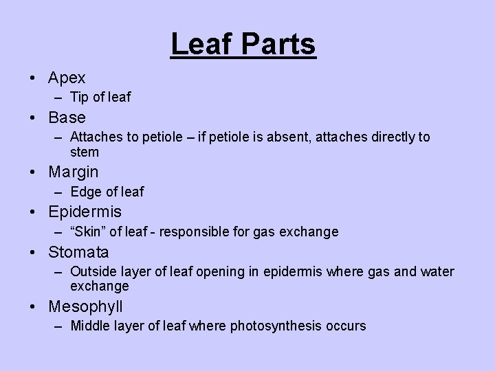 Leaf Parts • Apex – Tip of leaf • Base – Attaches to petiole