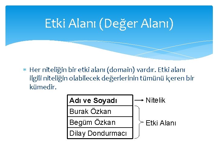 Etki Alanı (Değer Alanı) Her niteliğin bir etki alanı (domain) vardır. Etki alanı ilgili