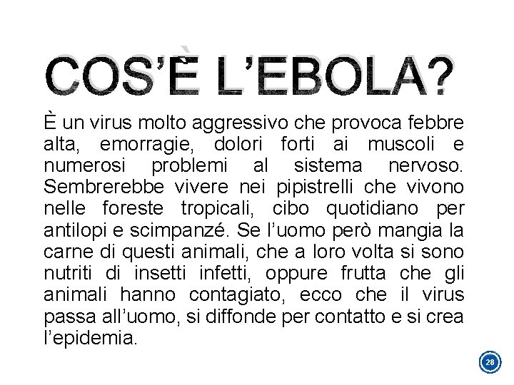 COS’È L’EBOLA? È un virus molto aggressivo che provoca febbre alta, emorragie, dolori forti