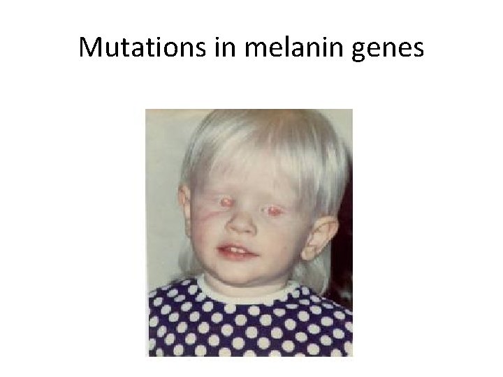 Mutations in melanin genes 