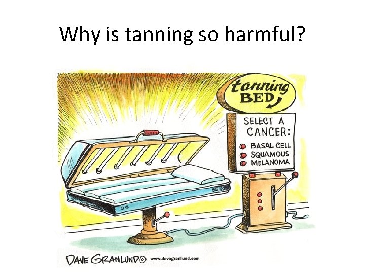 Why is tanning so harmful? 