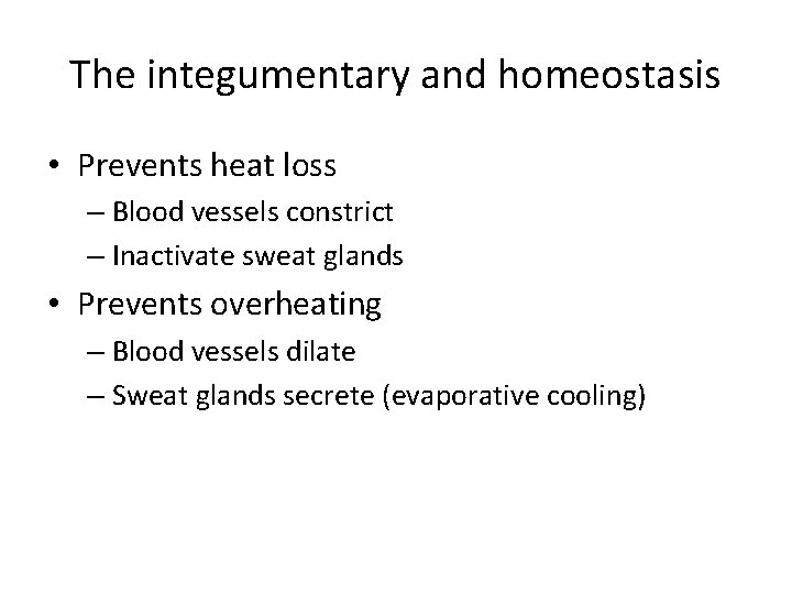 The integumentary and homeostasis • Prevents heat loss – Blood vessels constrict – Inactivate