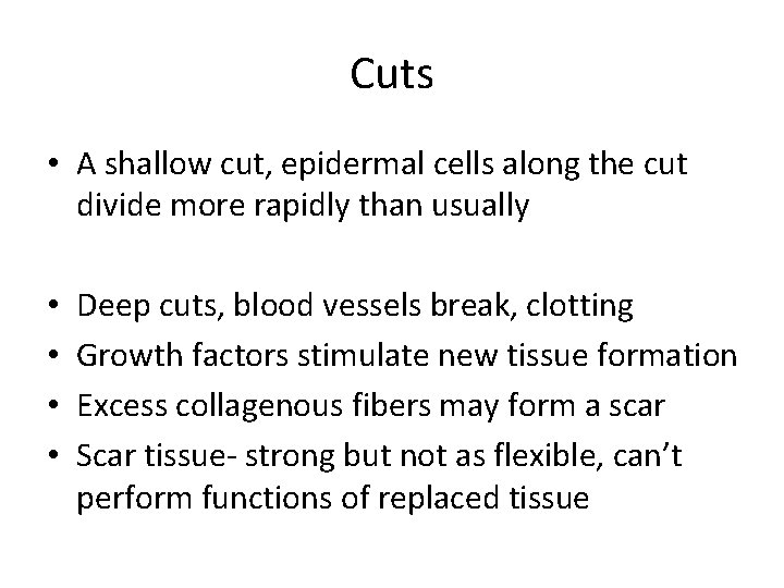Cuts • A shallow cut, epidermal cells along the cut divide more rapidly than