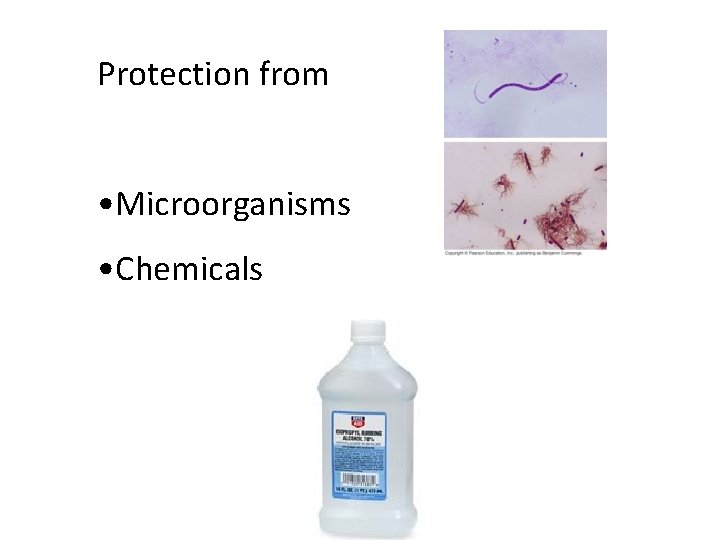 Protection from • Microorganisms • Chemicals 