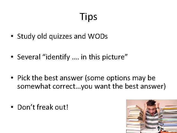 Tips • Study old quizzes and WODs • Several “identify …. in this picture”