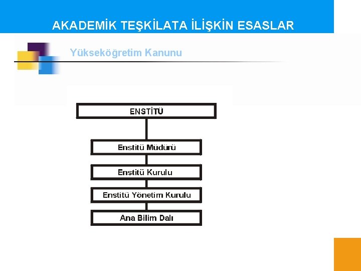 AKADEMİK TEŞKİLATA İLİŞKİN ESASLAR Yükseköğretim Kanunu 