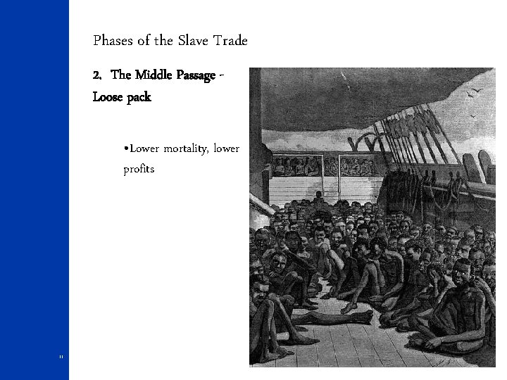 Phases of the Slave Trade 2. The Middle Passage Loose pack • Lower mortality,