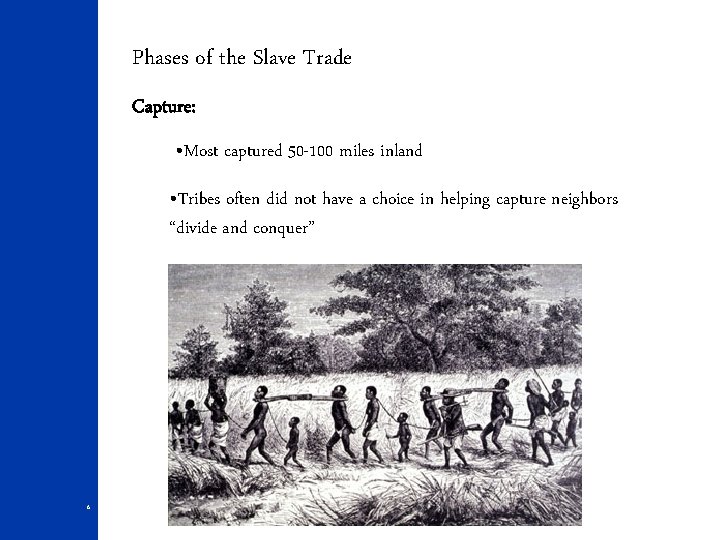 Phases of the Slave Trade Capture: • Most captured 50 -100 miles inland •