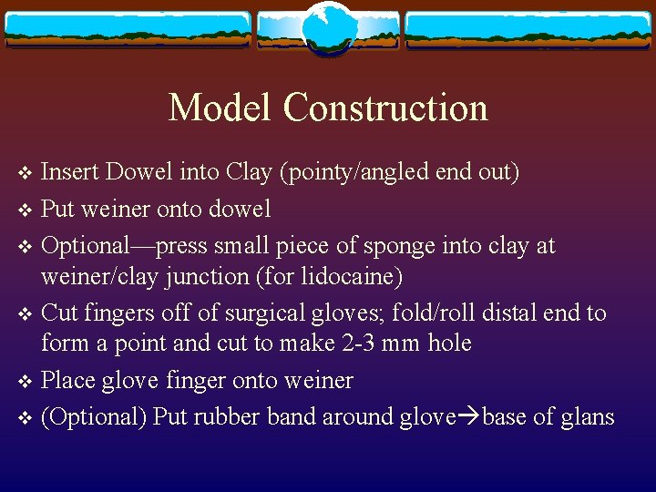 Model Construction Insert Dowel into Clay (pointy/angled end out) v Put weiner onto dowel