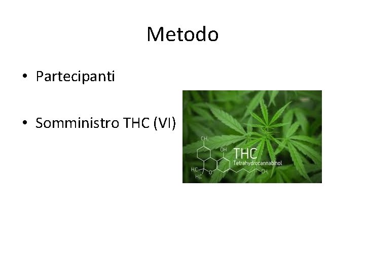 Metodo • Partecipanti • Somministro THC (VI) 