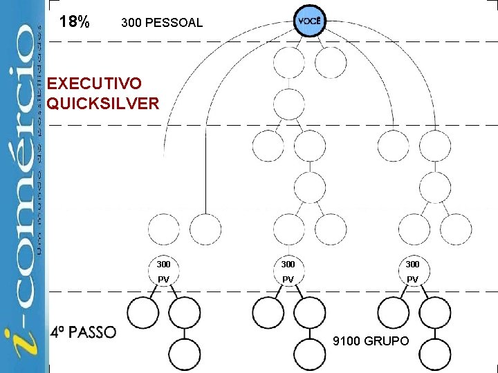 18% 300 PESSOAL EXECUTIVO QUICKSILVER 300 300 PV PV PV 9100 GRUPO 